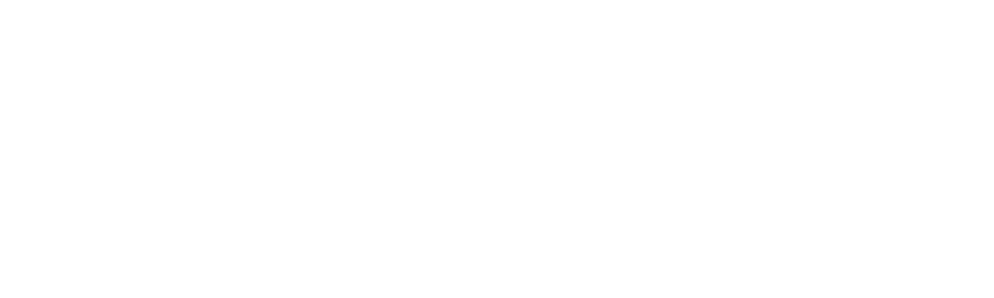 Viona Magnetics White Logo